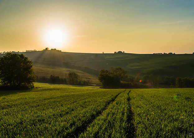 campagna